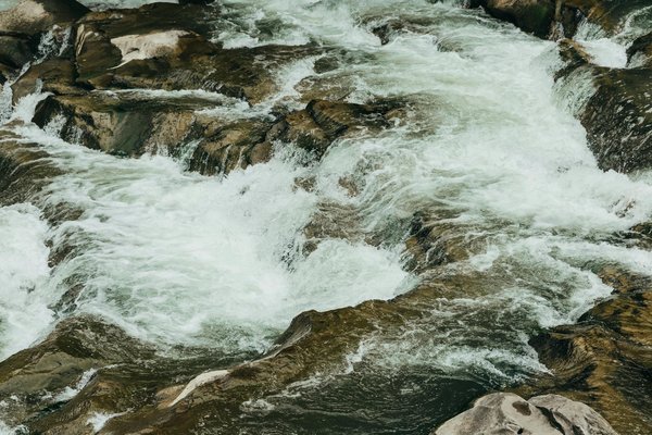 Comment trouver une location de vacances en Argentine avec des excursions en bateau sur le delta du Paraná?