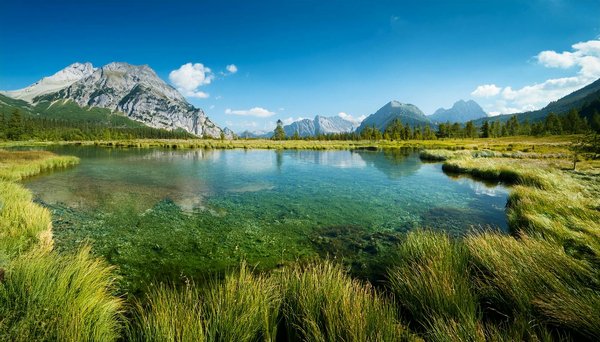 Où découvrir les traditions de la fabrication du thé au Sri Lanka : visites de plantations et ateliers ?